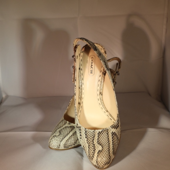 Coach - sling back Alma Printed Python - 7M - Picture 6 of 7